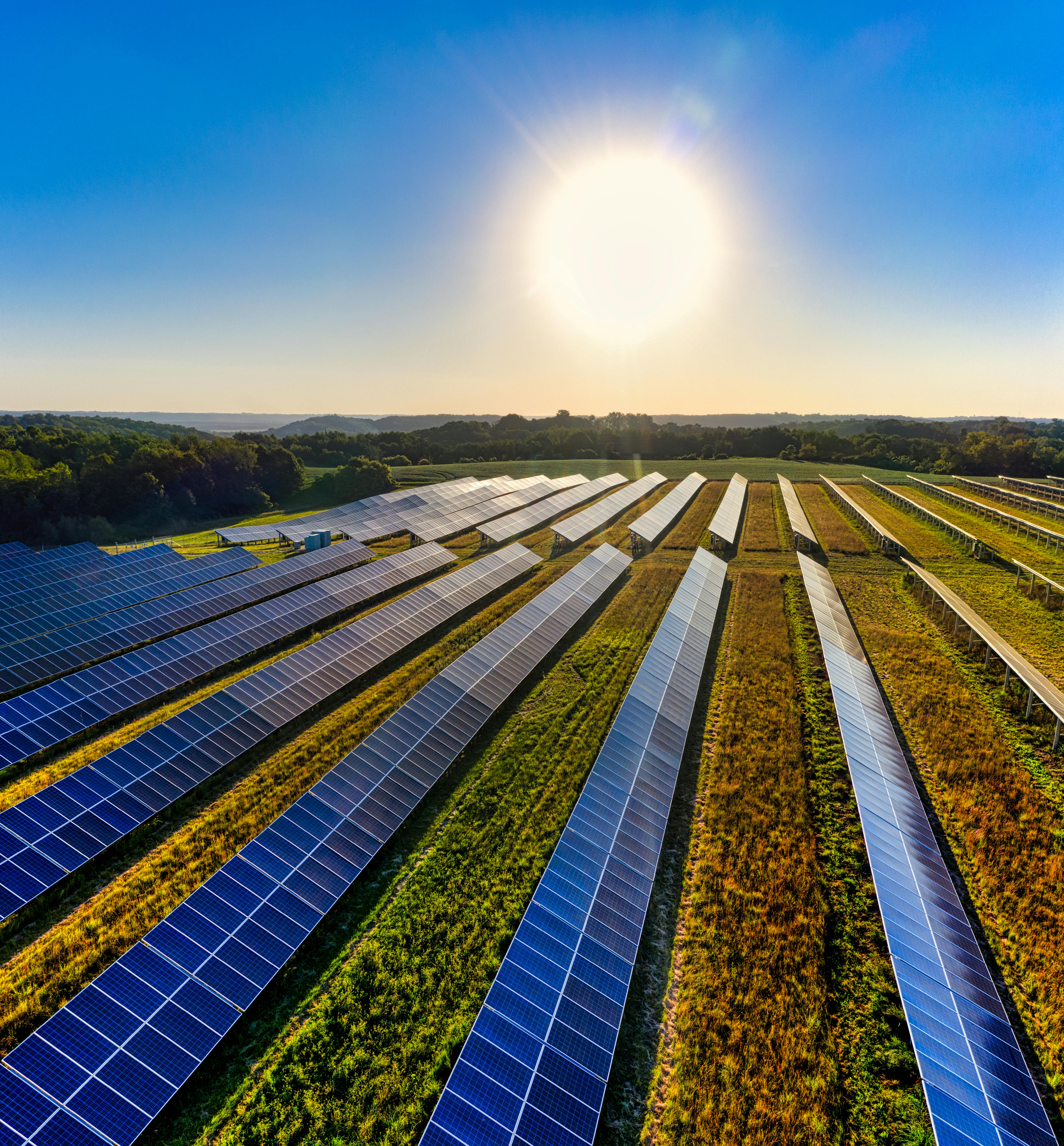 Solar plant installation with panels arranged in fields